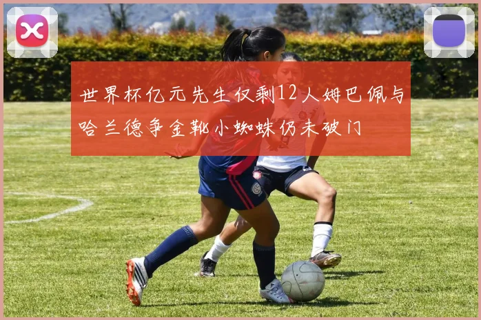 世界杯亿元先生仅剩12人姆巴佩与哈兰德争金靴小蜘蛛仍未破门